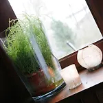 Bel Natura - Couette Et Cafe Stavelot