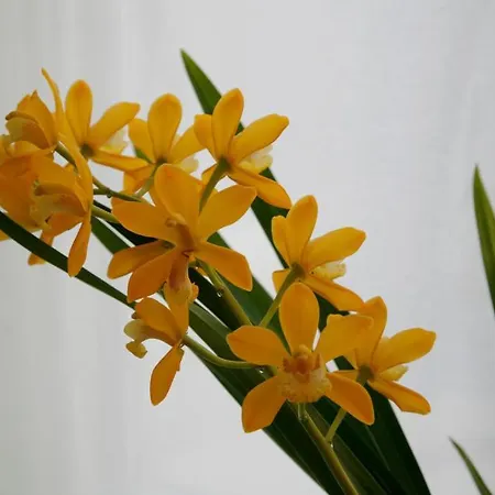 Bel Natura - Couette Et Cafe * Stavelot