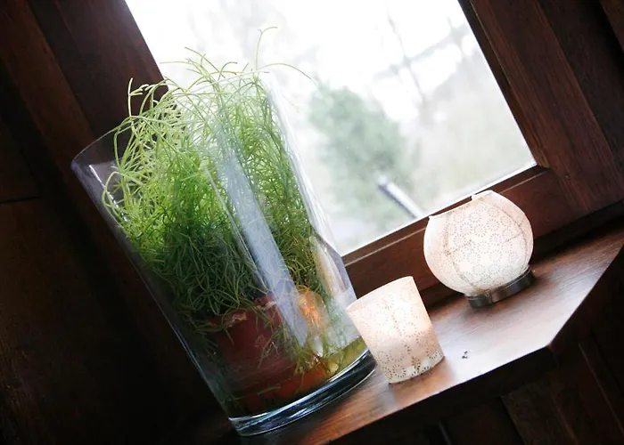 Bel Natura - Couette Et Cafe Stavelot