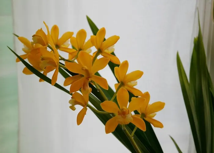 Bel Natura - Couette Et Cafe 3* Stavelot